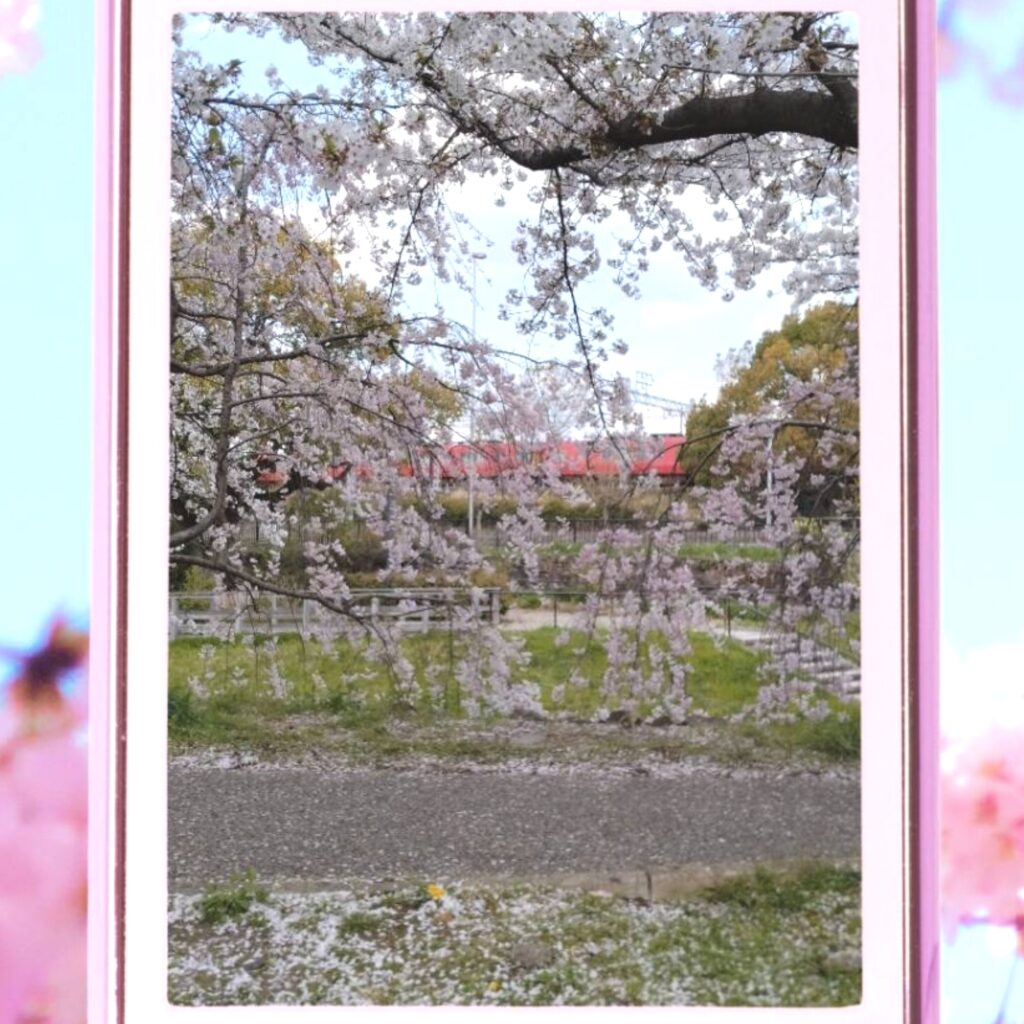 春の写真展作品例2