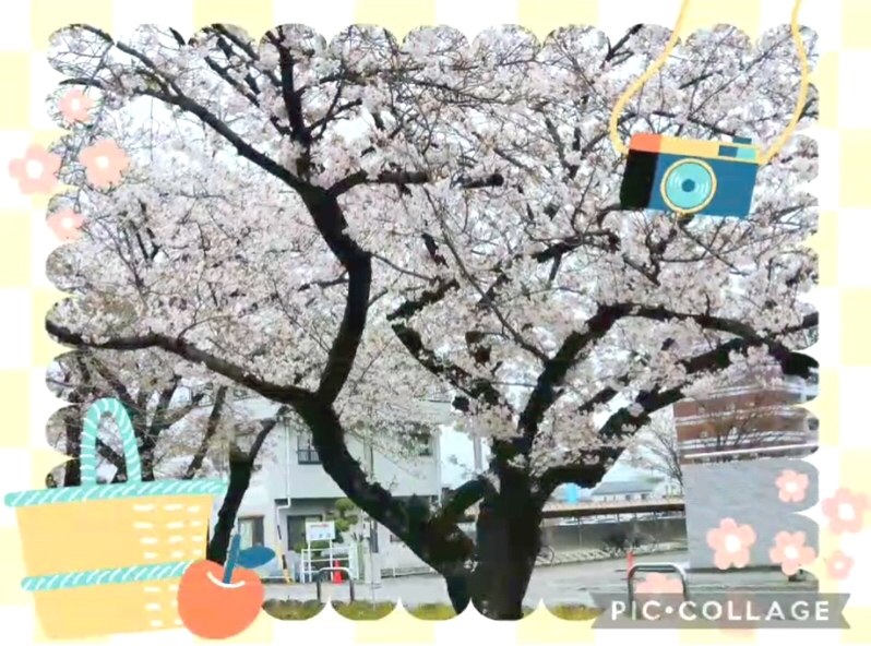 春の写真展作品例3