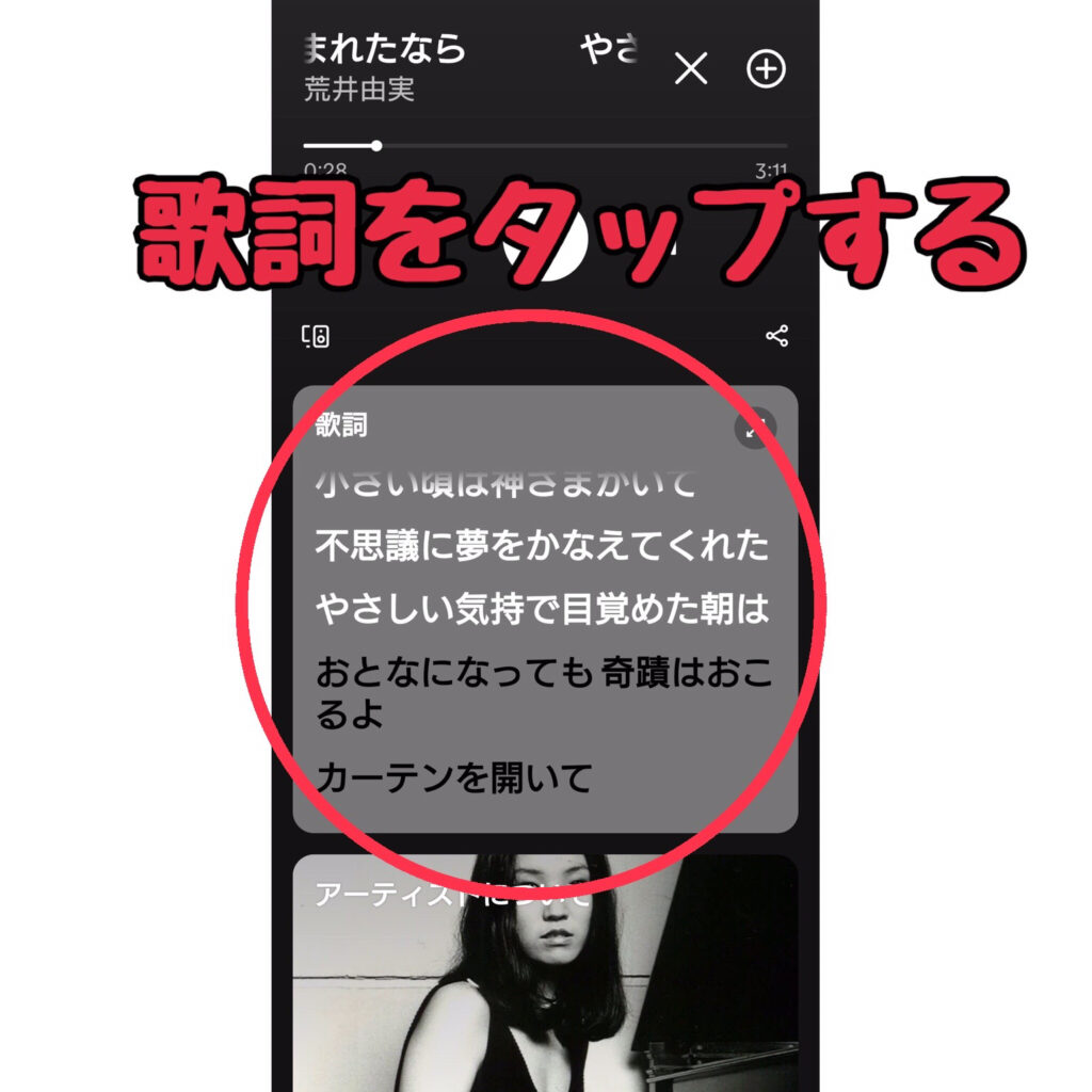 Spotifyシンガロング機能手順画面2